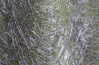 Glenmore fibreglass roof work